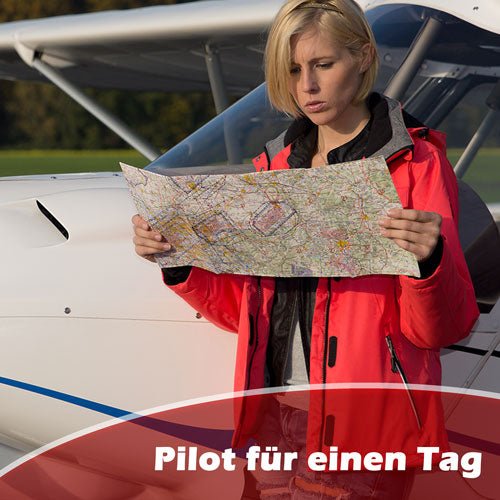 Pilot für einen Tag